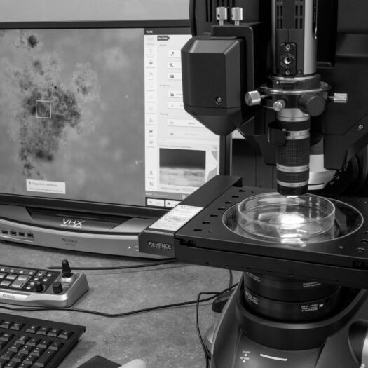 We make your microbiome visible